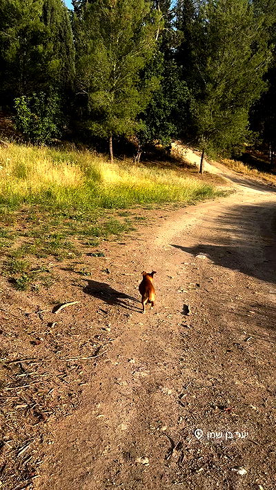 jaroslava_klavir jaroslava_klavir archive video