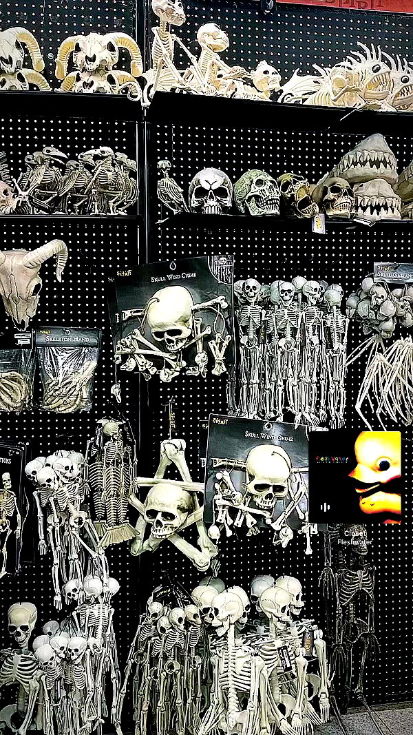 333eac archive video preview