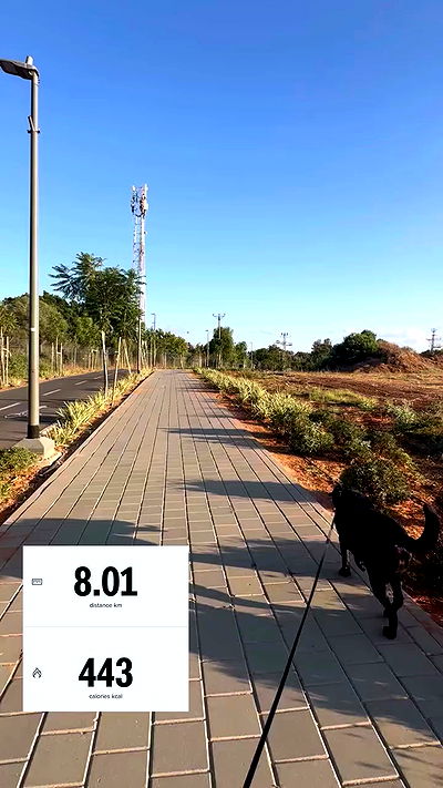 talweisswasser talweisswasser archive video