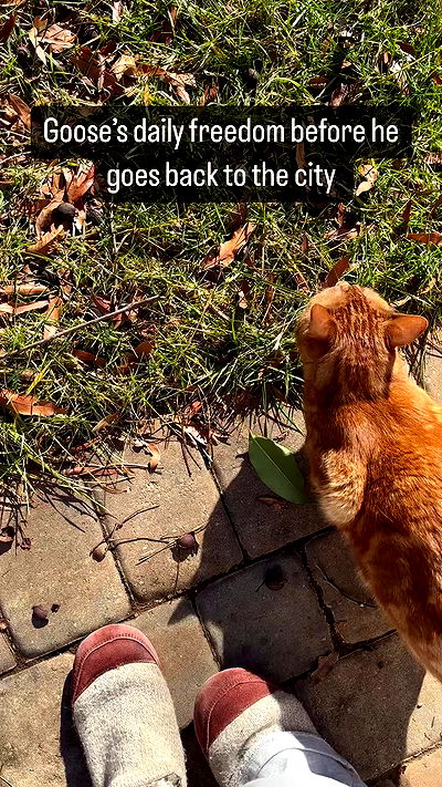 winbun.io winbun.io archive video