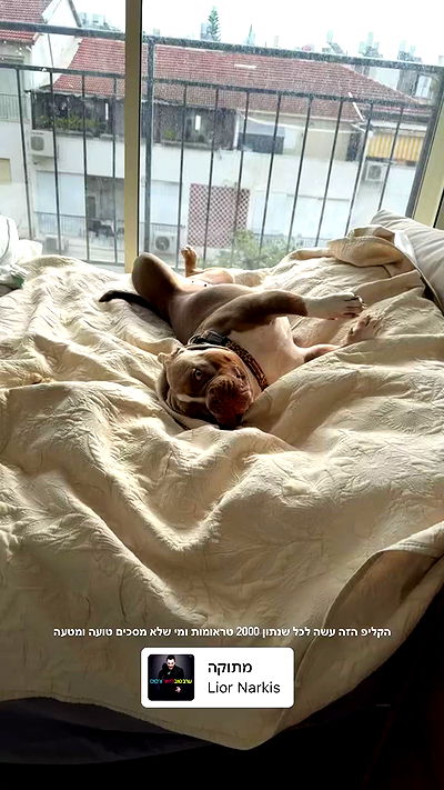 kesemgreenyer kesemgreenyer archive video