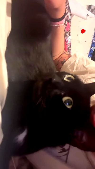 hellokittyangel666 hellokittyangel666 archive video