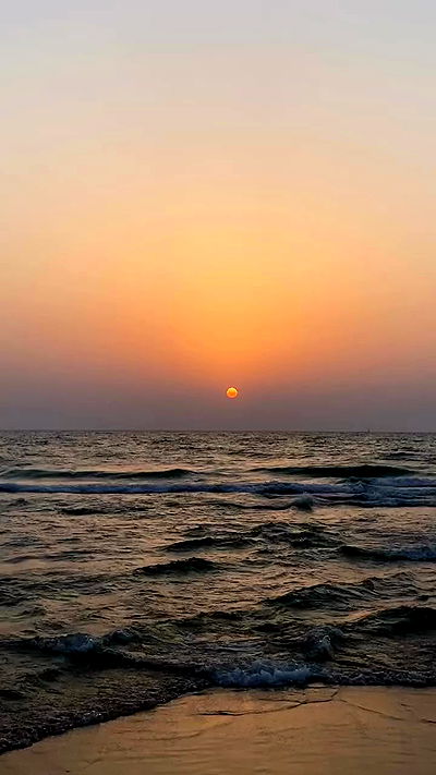 noa_zemlyanski noa_zemlyanski archive video