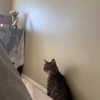 itshannahowo Altpins Profile Picture