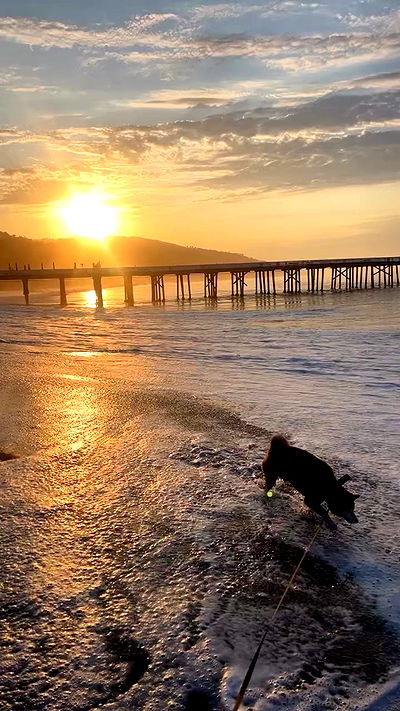 zommmbri zommmbri archive video