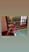 averyygraace Altpins Profile Picture