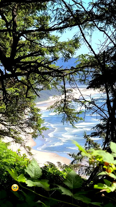 rachelc00k rachelc00k archive video