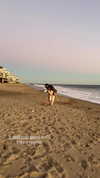 sydney_melman Altpins Profile Picture