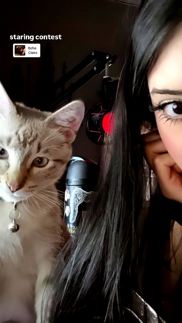 valeriecastellano archive video preview