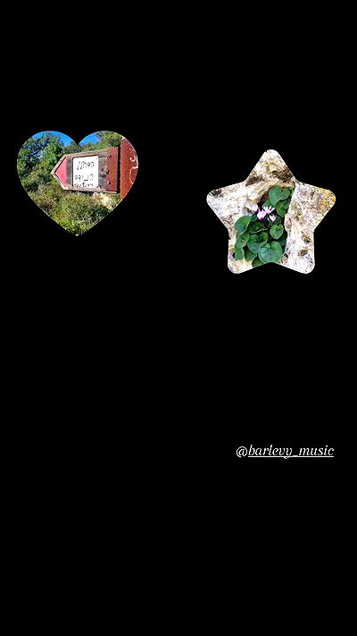 shayli_or shayli_or archive video