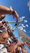 meytal_zerbib Altpins Profile Picture