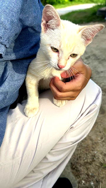 oqr0_ oqr0_ archive video