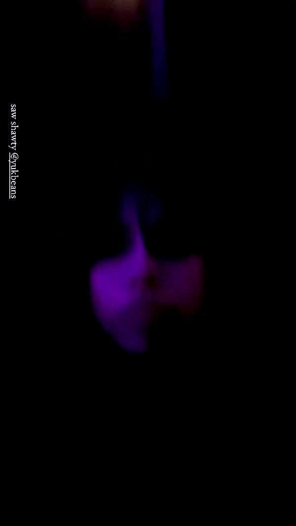 klarissasalazar archive video preview