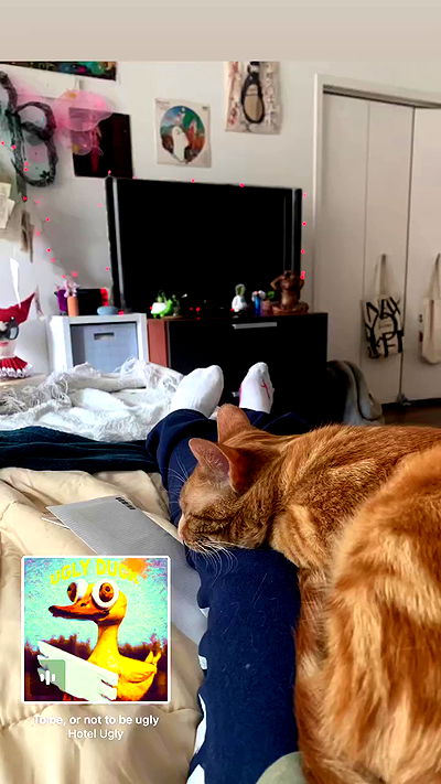 winbun.io winbun.io archive video