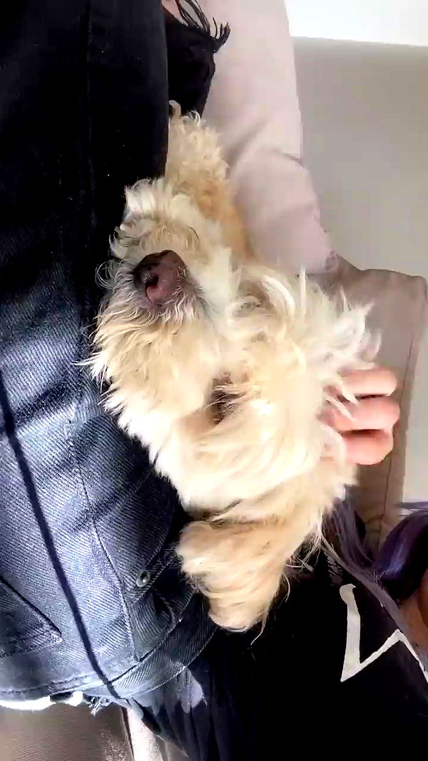 feelbetterinmysweater archive video preview