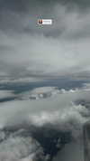 sheli.belayev Altpins Profile Picture