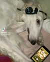 333eac Altpins Profile Picture