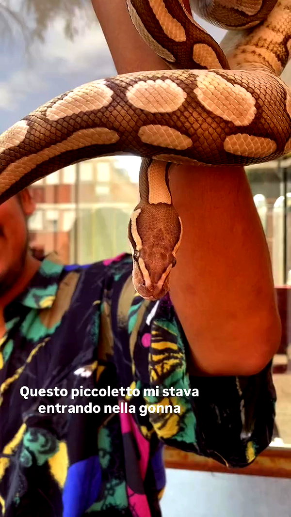 fuckinncutee archive video preview