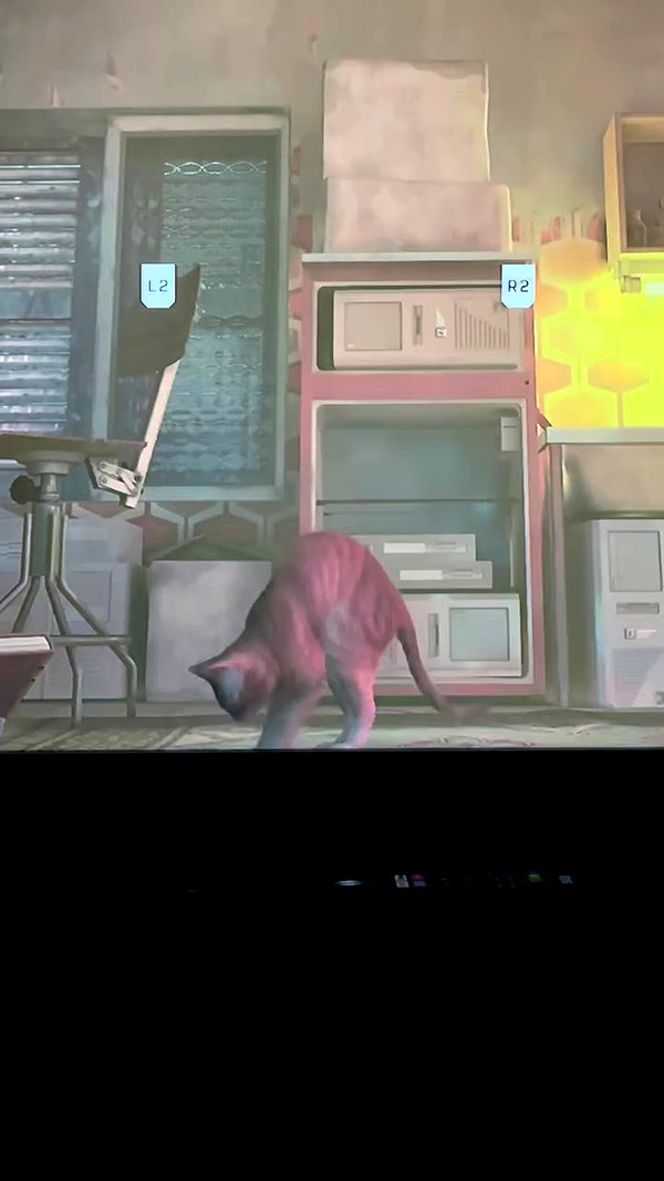 vampiryska archive video preview