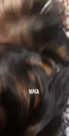 emily_new2 Altpins Profile Picture