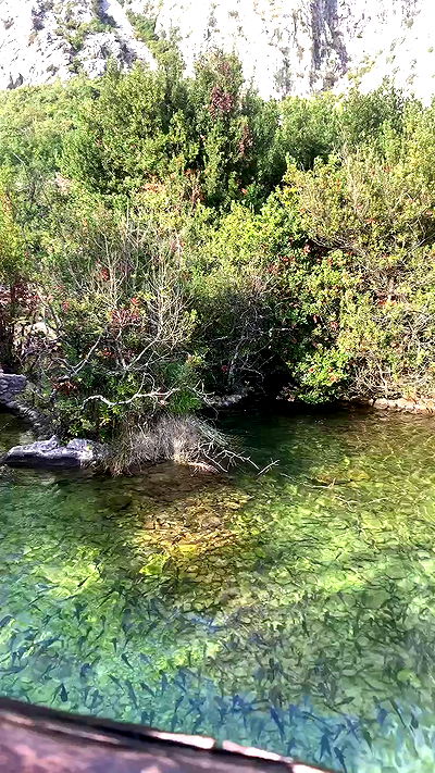 emily.otaku emily.otaku archive video