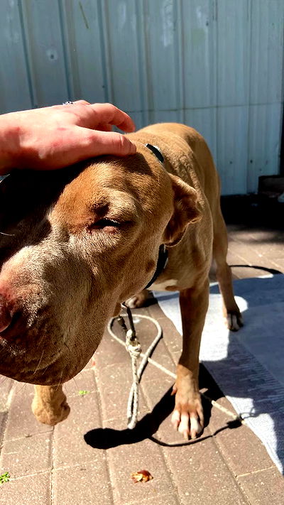 feelbetterinmysweater feelbetterinmysweater archive video