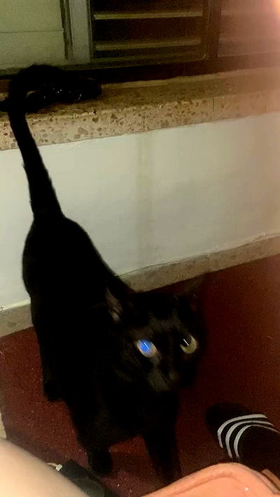 feelbetterinmysweater feelbetterinmysweater archive video