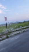 emelyeender Altpins Profile Picture