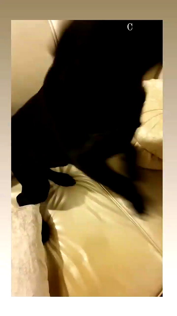 ivy.owowo archive video preview