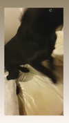 ivy.owowo Altpins Profile Picture