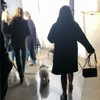 selenagomez Altpins Profile Picture