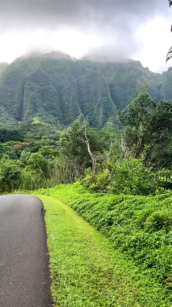 zommmbri archive video preview