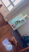 fegalvao_ Altpins Profile Picture