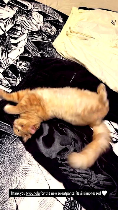 sedonaskyxo sedonaskyxo archive video