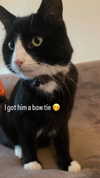 thelovewltch Altpins Profile Picture