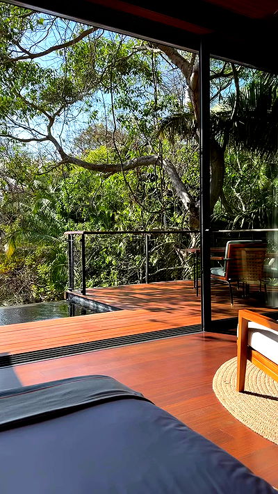 carolinezalog carolinezalog archive video