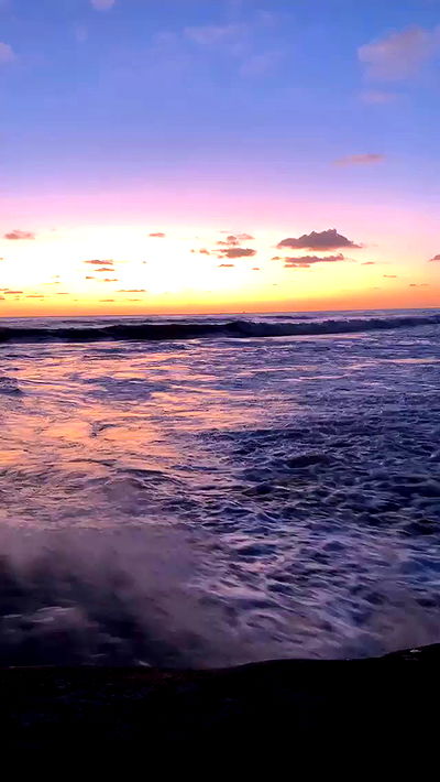 dracuina dracuina archive video