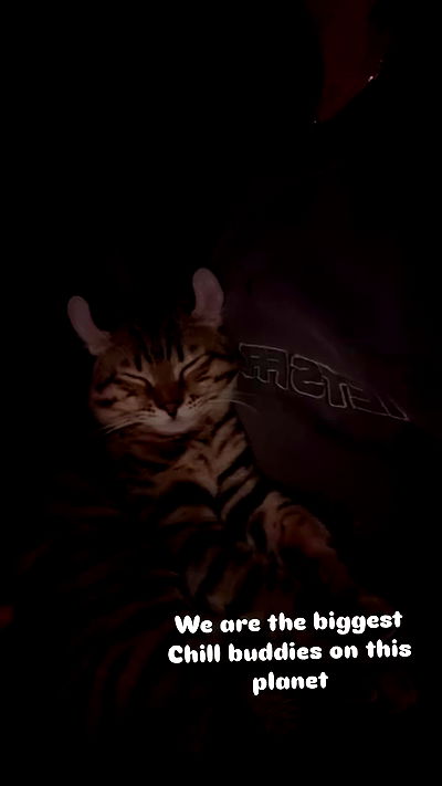 laurinchhhe laurinchhhe archive video