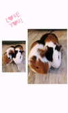 la.vica_ Altpins Profile Picture
