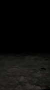 nohemymend Altpins Profile Picture