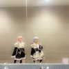 dollblush Altpins Profile Picture