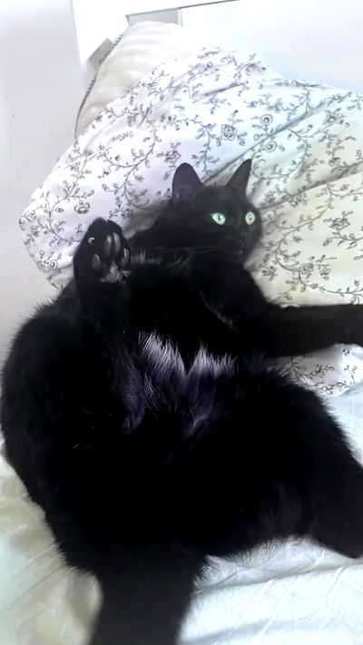 hellokittyangel666 hellokittyangel666 archive video