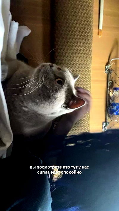 imalovesosa imalovesosa archive video