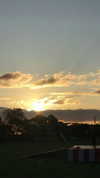 mittzaa_ Altpins Profile Picture