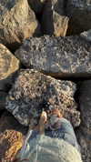 lotembar Altpins Profile Picture