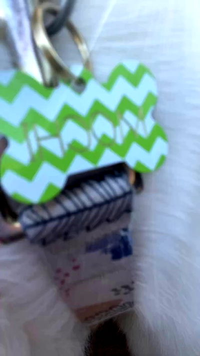 _animechika_ _animechika_ archive video