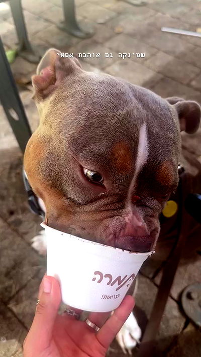 kesemgreenyer kesemgreenyer archive video