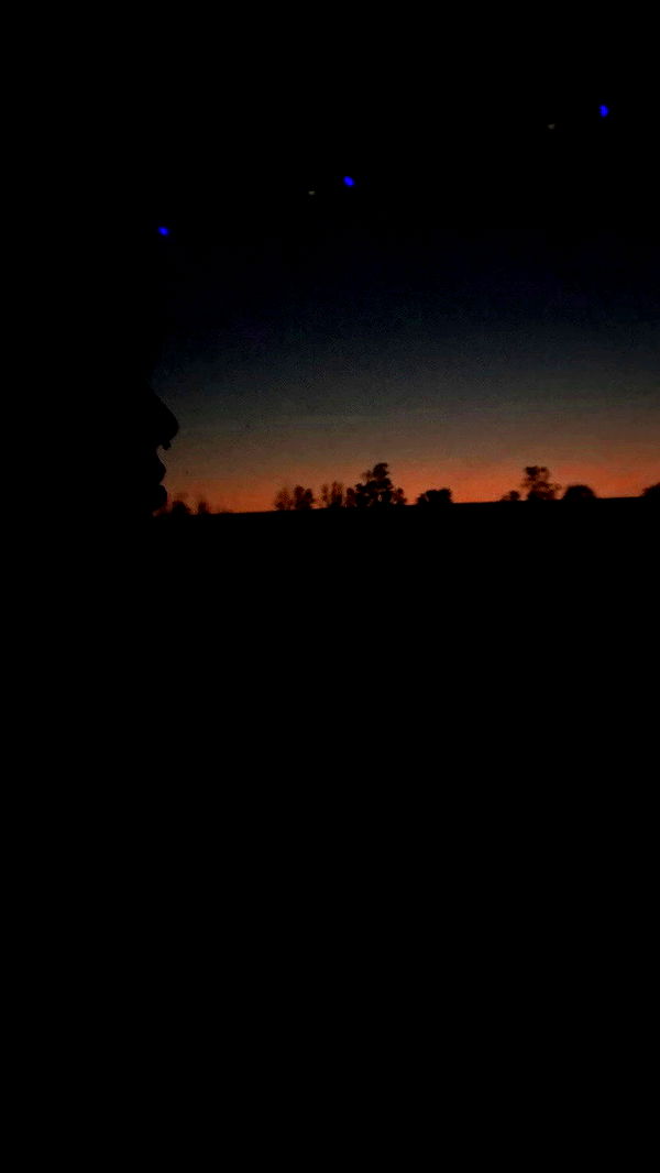 dustheadd archive video preview