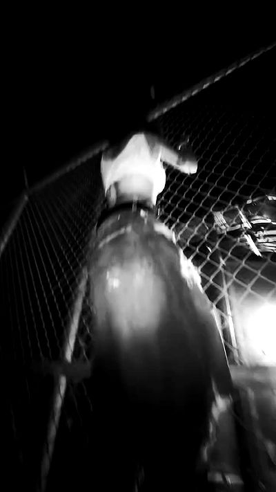 zommmbri zommmbri archive video