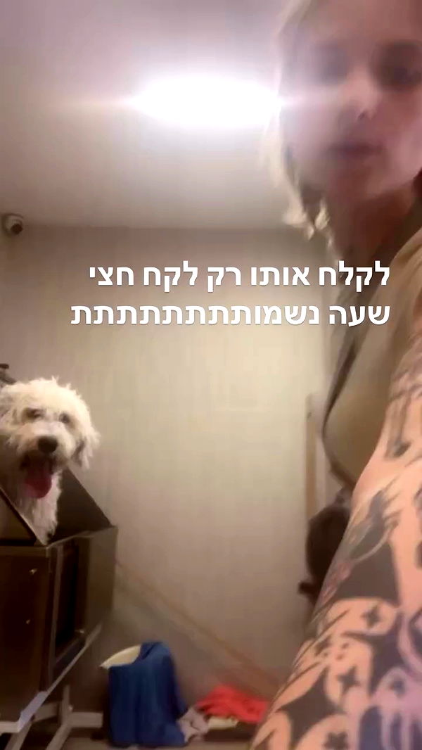 shanikaneko archive video preview